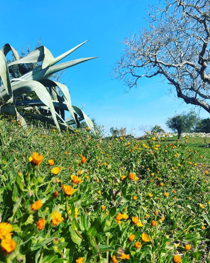 Masseria Limone มาร์ตินาฟรังกา ภายนอก รูปภาพ